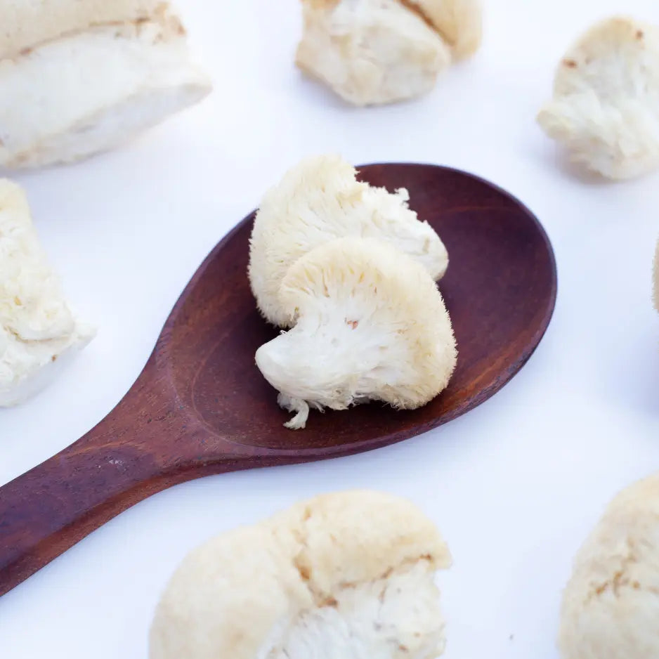 Unveiling the Wonders: Exploring the Potential Benefits of Lion's Mane Mushrooms